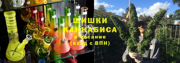 apvp Бородино