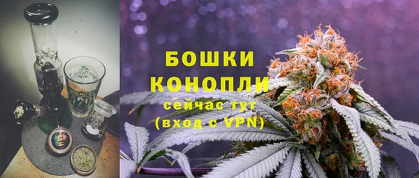 apvp Бородино