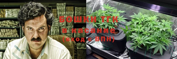 apvp Бородино