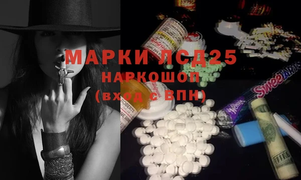 apvp Бородино